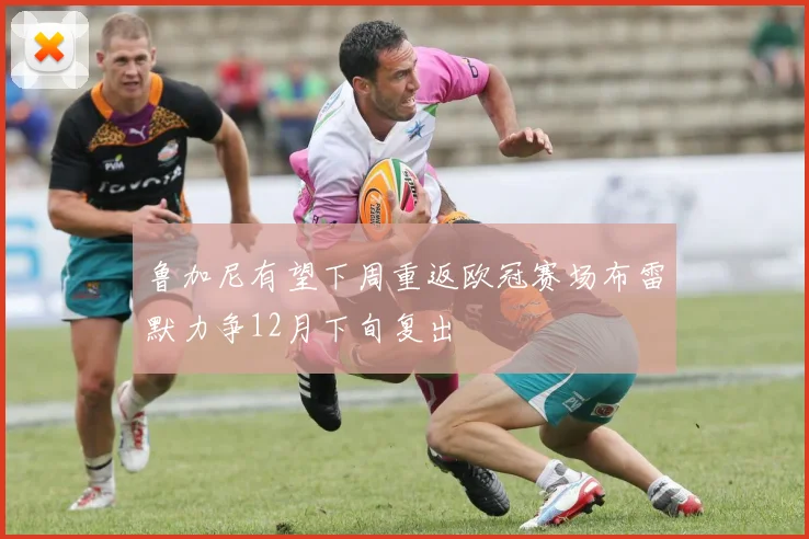 鲁加尼有望下周重返欧冠赛场布雷默力争12月下旬复出