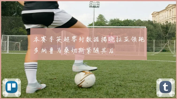 本赛季英超零封数据揭晓拉亚领跑多纳鲁马桑切斯紧随其后